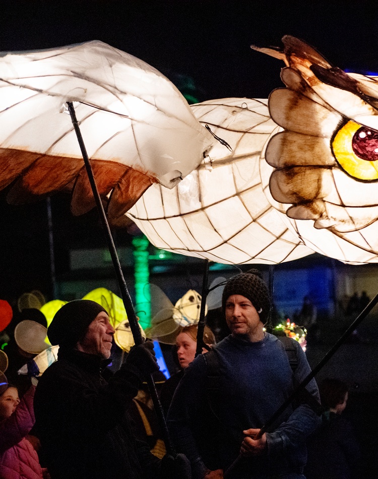 Couple navigating owl lantern in parade