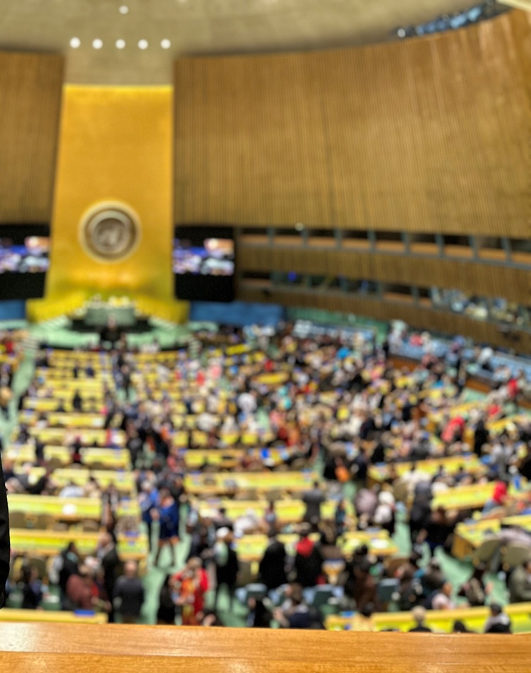 Emily Williams representing Australia at the United Nations Permanent Forum on Indigenous Issues in New York in 2024