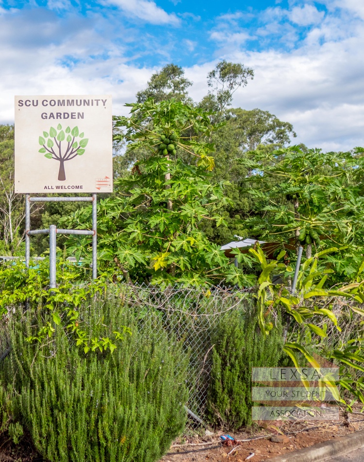 garden