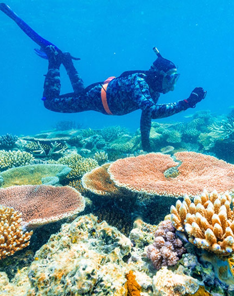 Great Barrier Reef researcher underwater