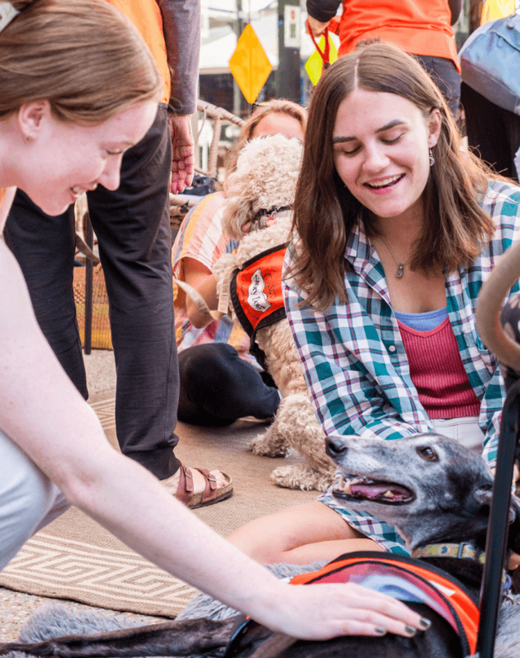 Two students enjoy patting a dog during LEXSA's Stress Less week