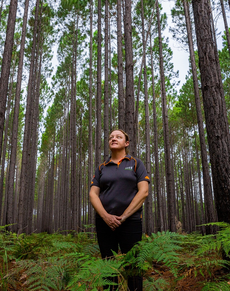 A woman standing in a plantation forest