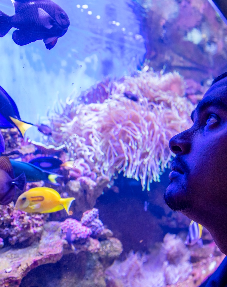 Solitary Islands Aquarium