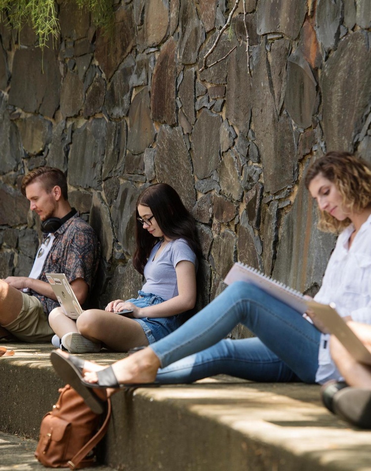 Students studying outside on campus