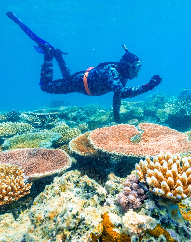 Diver underwater over reef