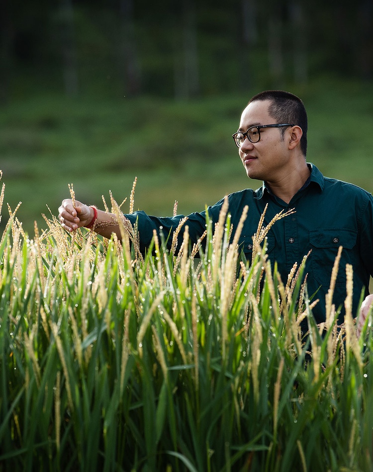 PhD student Duc Truong Nguyen and researcher Szabolcs Lehoczki-krsjak at the experimental rice crop in Lismore.