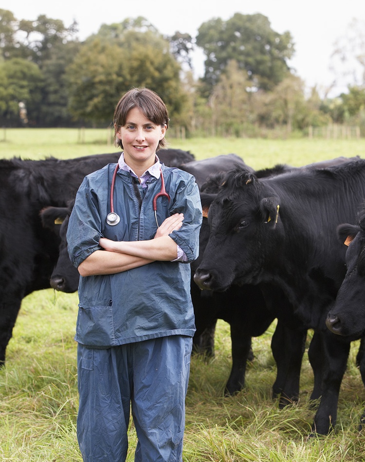 Smiling vet in a field in front of a herd of cows