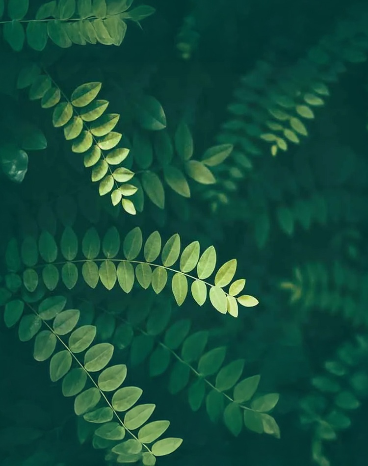 Dispute Resolution Skills and Techniques - image adjusted resized