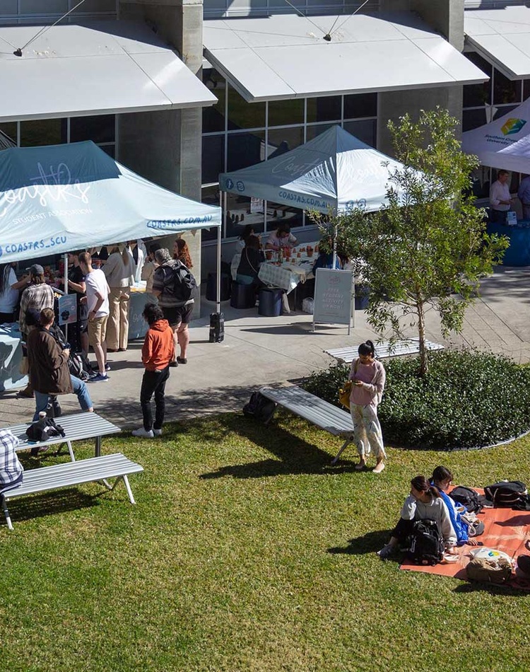 Aerial view of the Gold Coast Orientation