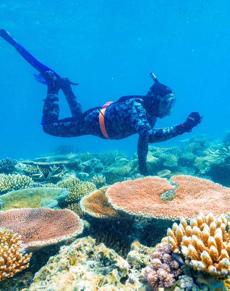 Marine Science Research - image shows researcher examining coral reef