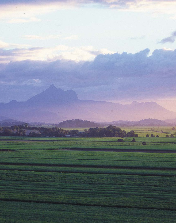 A panorama of the hills and mountains of the northern rivers at sunset