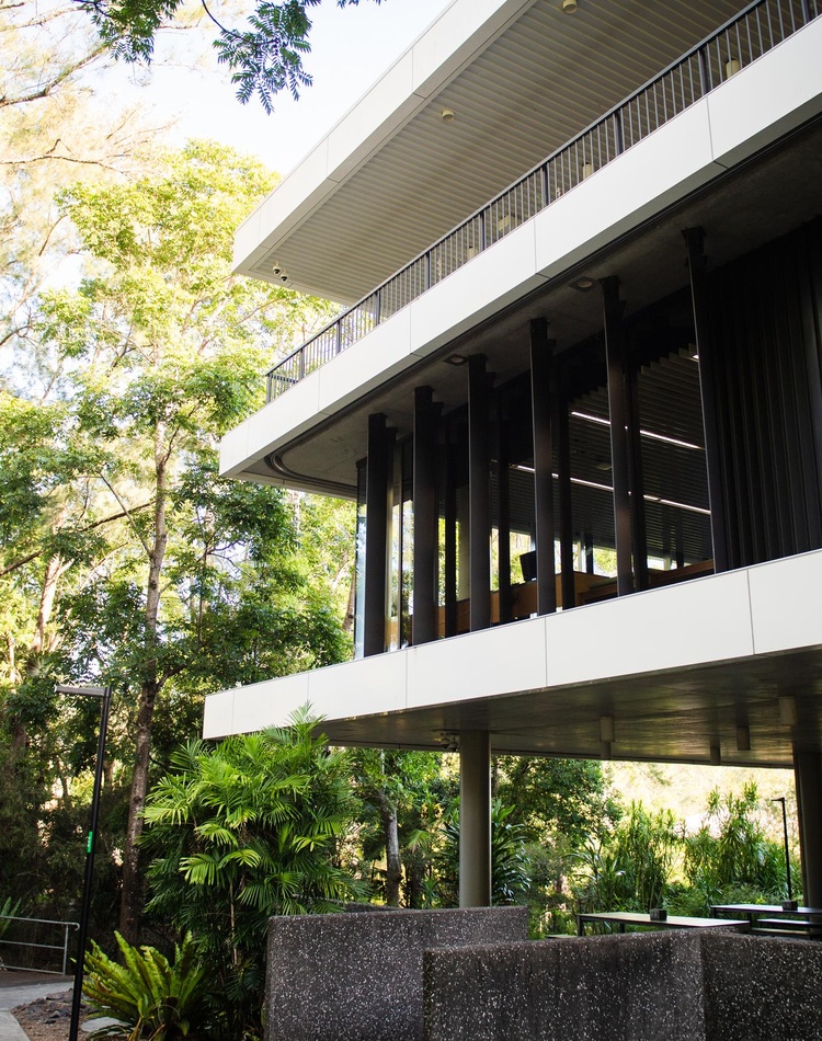 Lismore campus library surrounded by trees and greenery