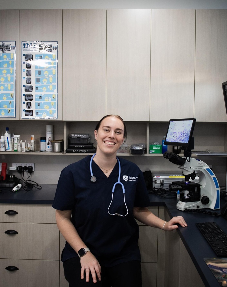 Woman in a vet practice using computer