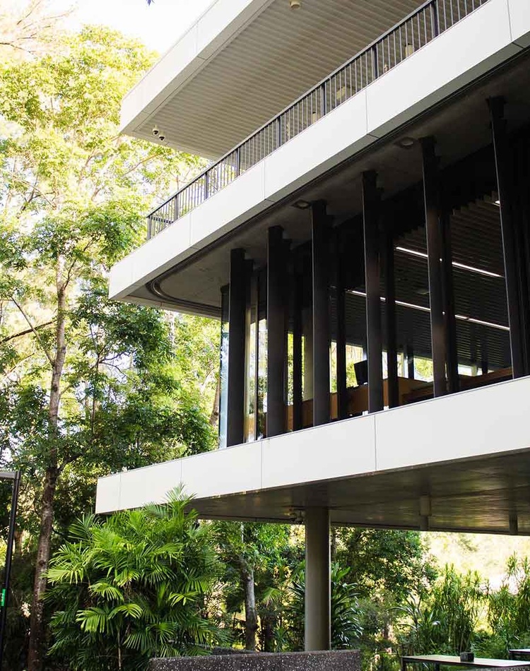 Lismore campus library surrounded by trees and greenery
