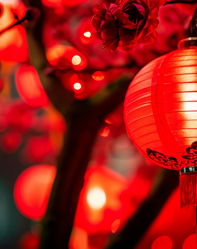red lanterns hanging in blossom tree