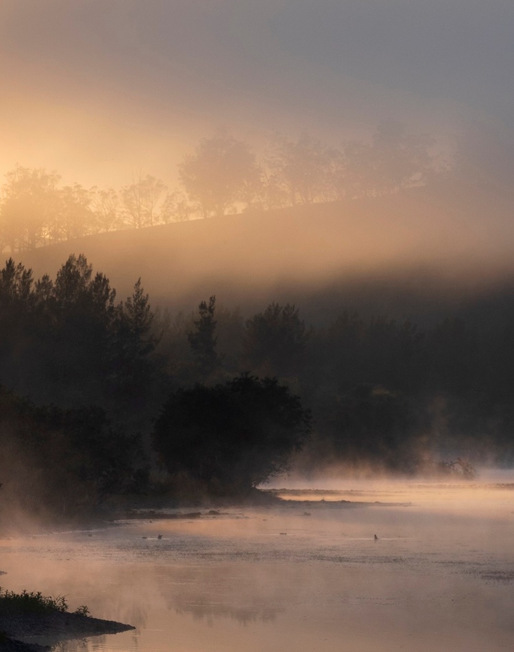 Misty river scene at sunrise