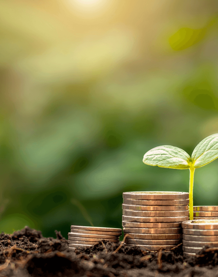 A tiny seedling from a pile of coins as a metaphor for growth - postgrad finance workshop banner