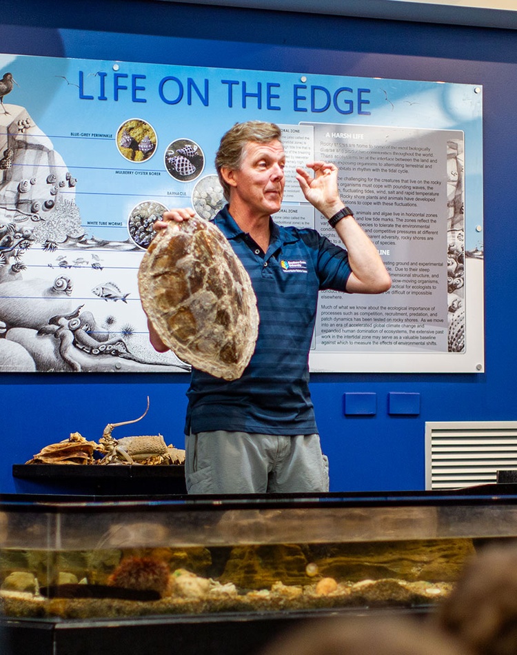 National Marine Science Centre Open Day 2025