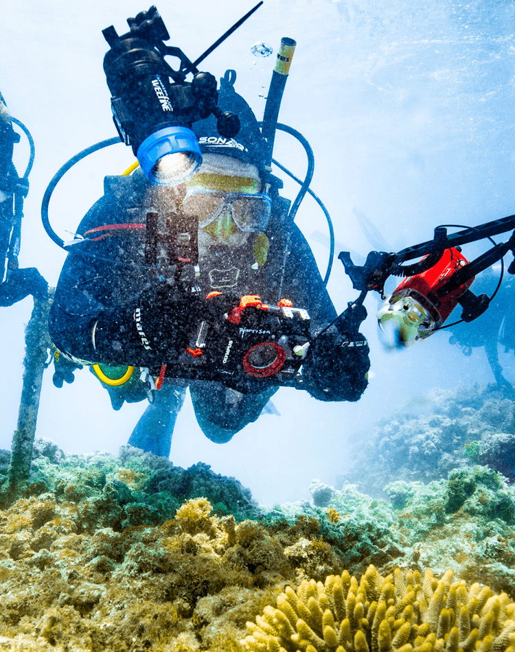 Marine scientist diving underwater with coral