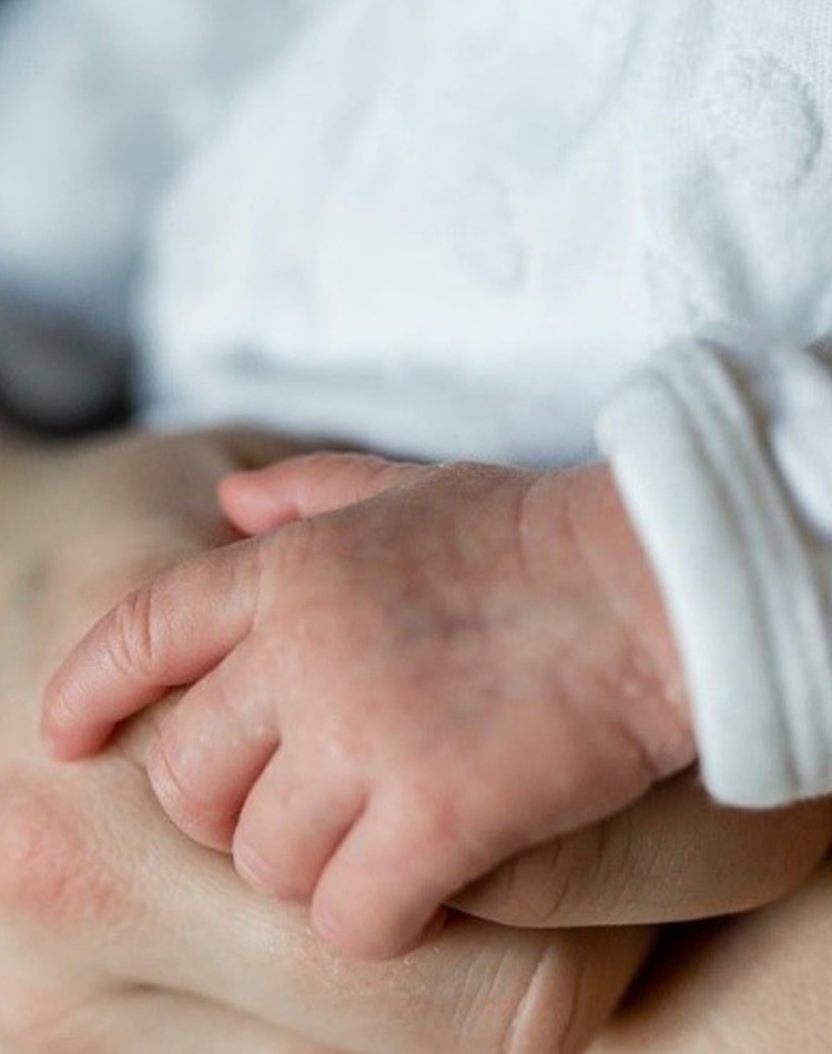Newborn baby's hand resting on adult hand