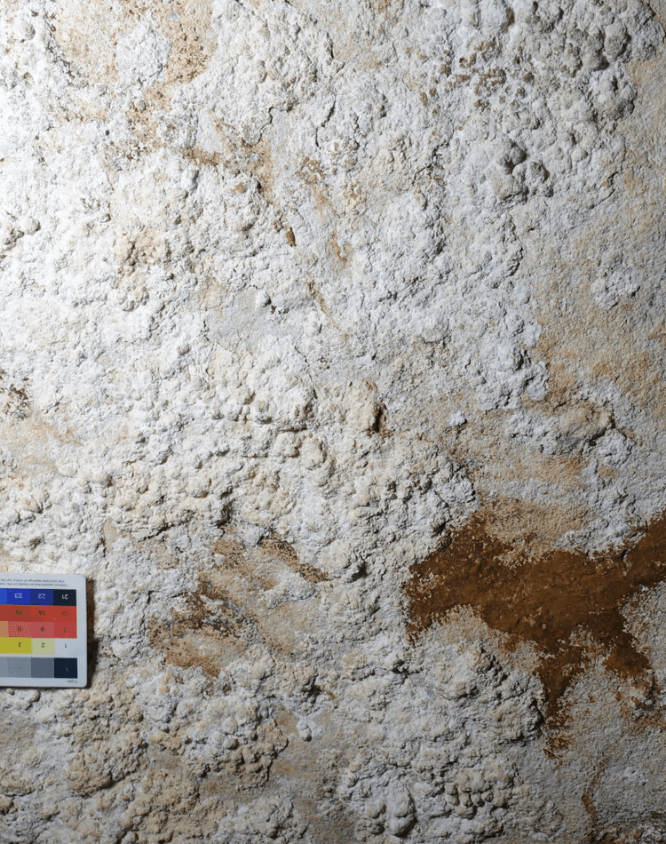 Image of a 67,800 year old hand stencil found on the island of Sulawesi