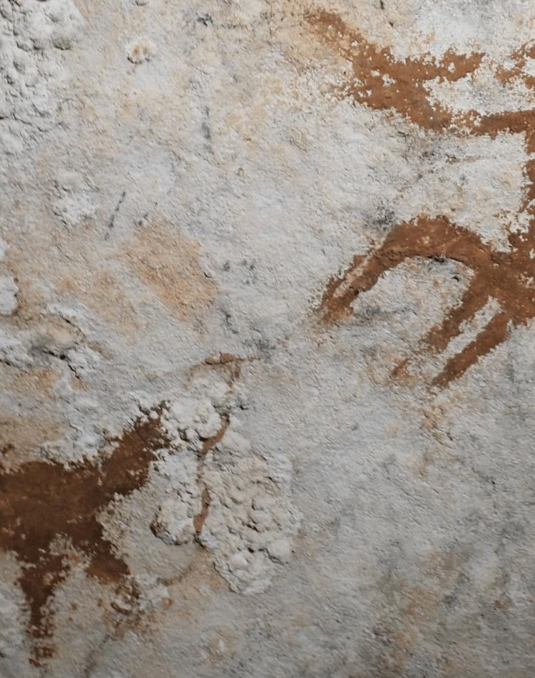 Image of 67,800 year old hand stencil found on the island of Sulawesi