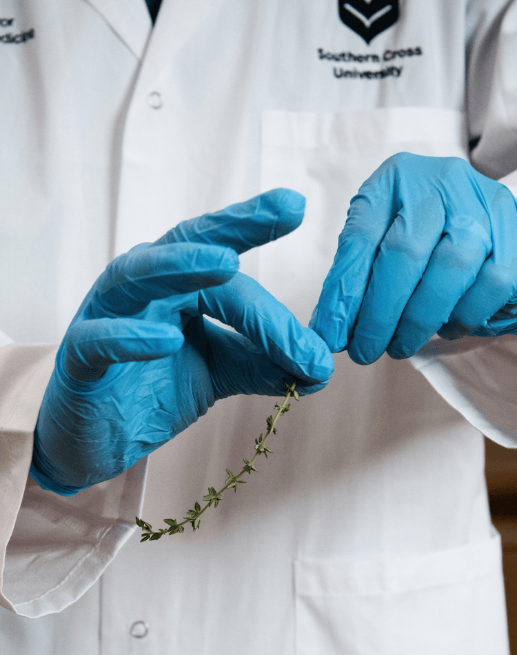Herbs National Centre for Naturopathic Medicine