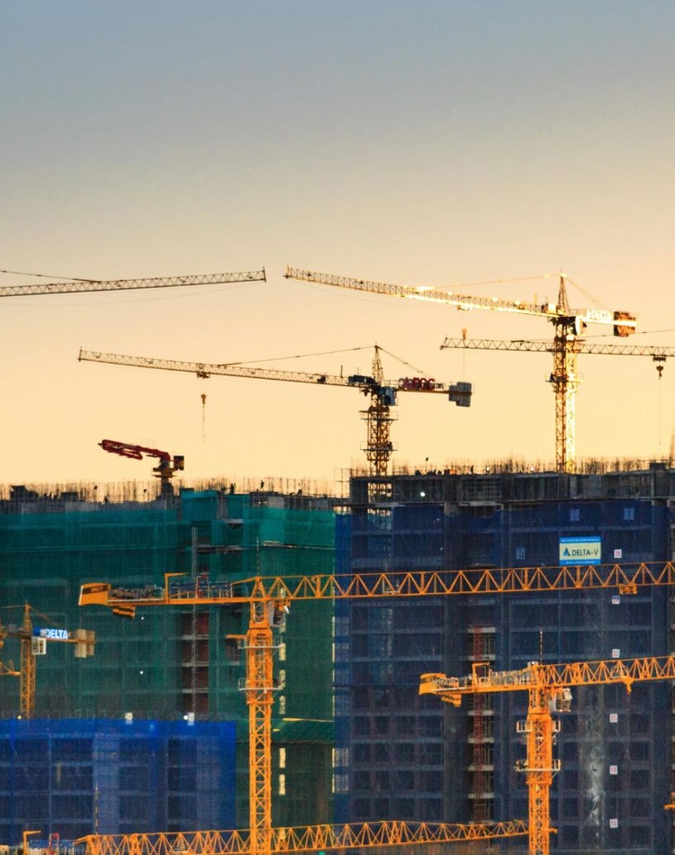 Skyline of cranes above building site