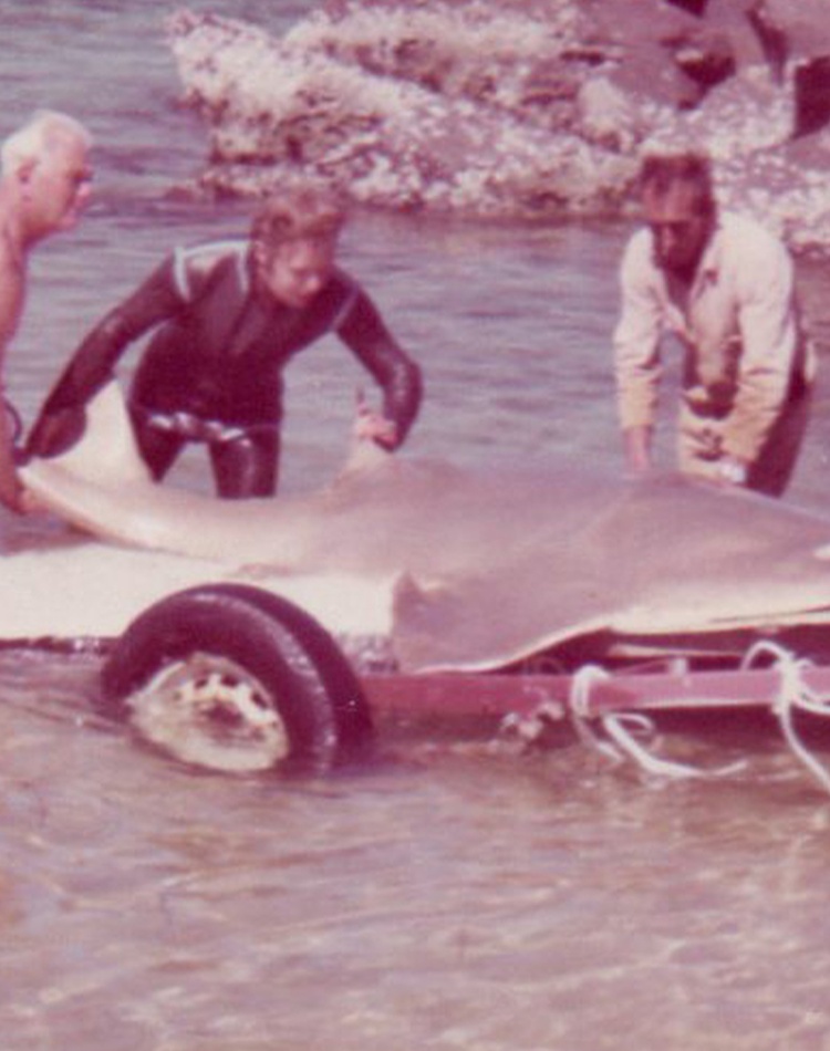 People loading fish onto trailer