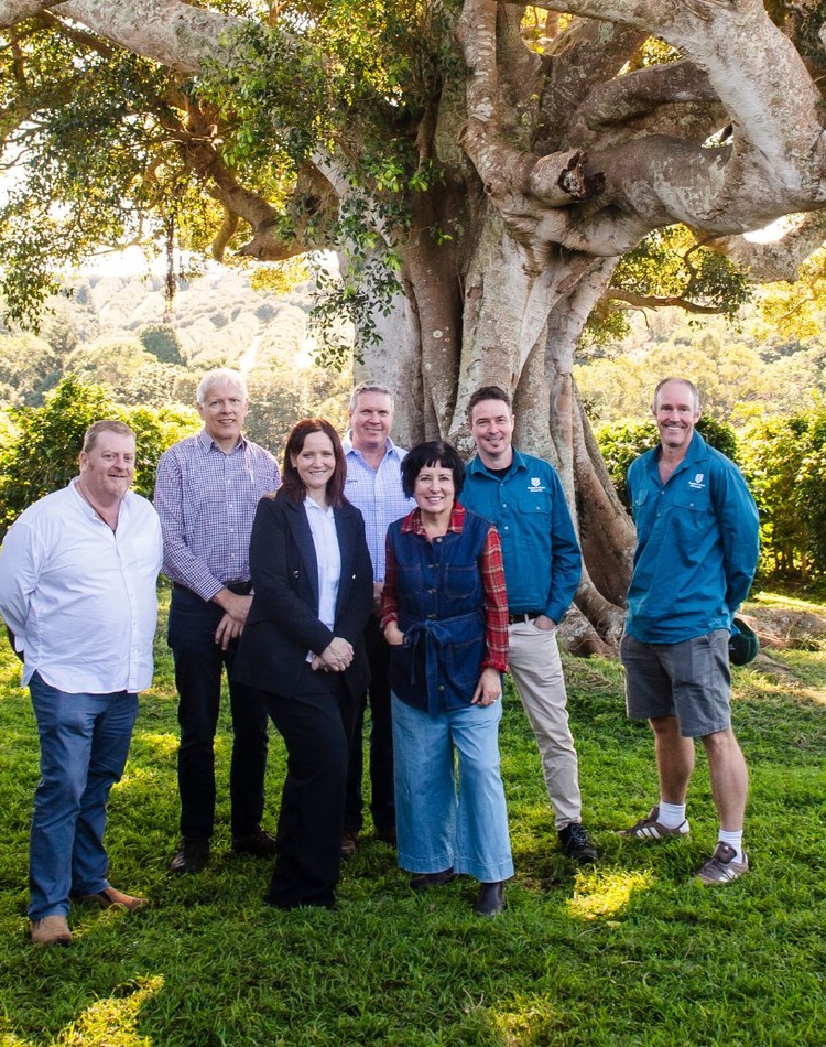 A group of people stand underneath a large tree