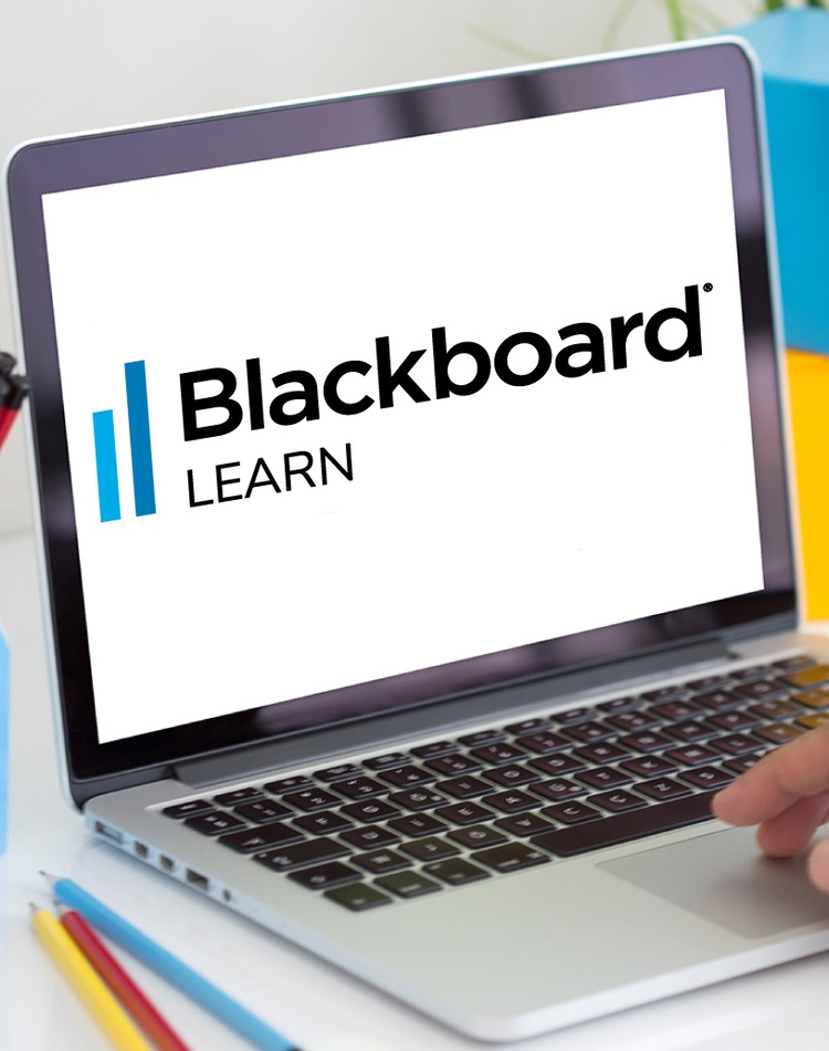 Blackboard Learn logo on a laptop screen sitting on a desk with office supplies surrounding it while a hand types on the keyboard