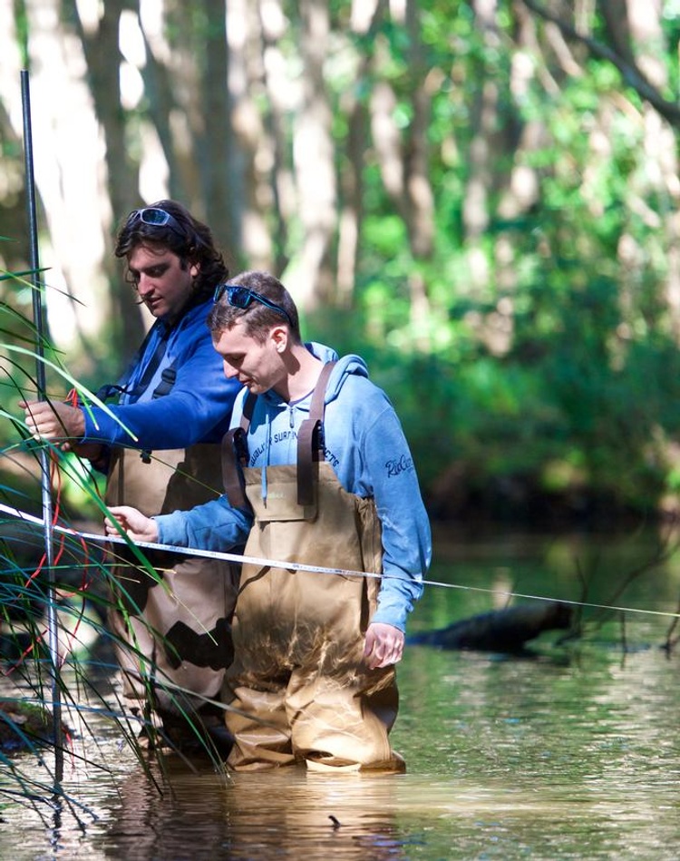 Researchers in forest