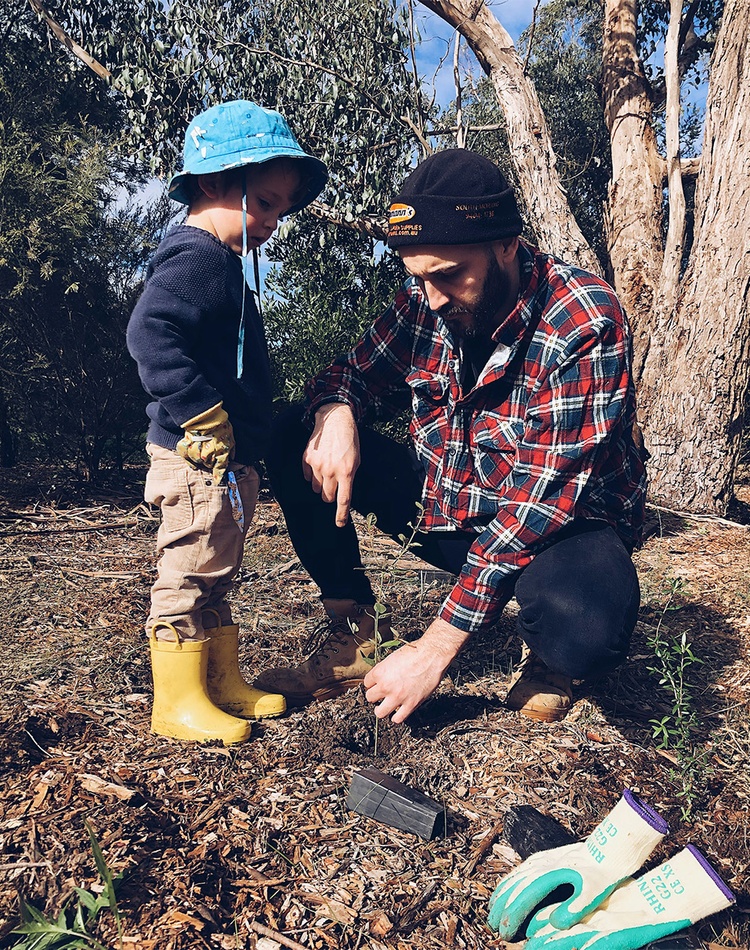 Boy and man plant tree