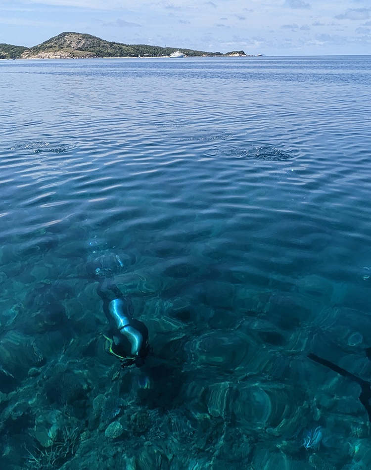 Divers set up macrophotogrammetry Lizard Island 2022_credit L Hardiman CSIRO