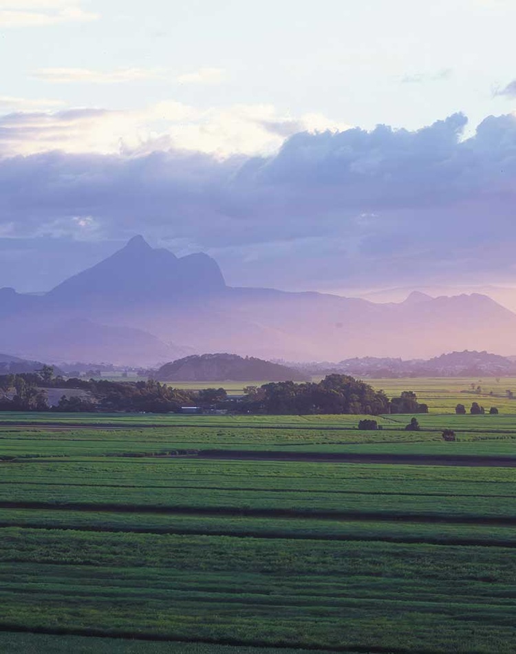 Northern Rivers landscape with Wollumbin in distance