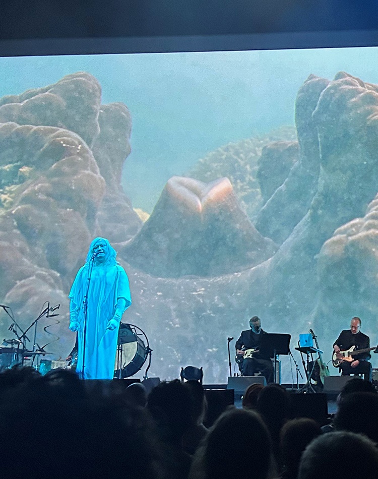 A band on stage against a backdrop of coral projected on the screen.