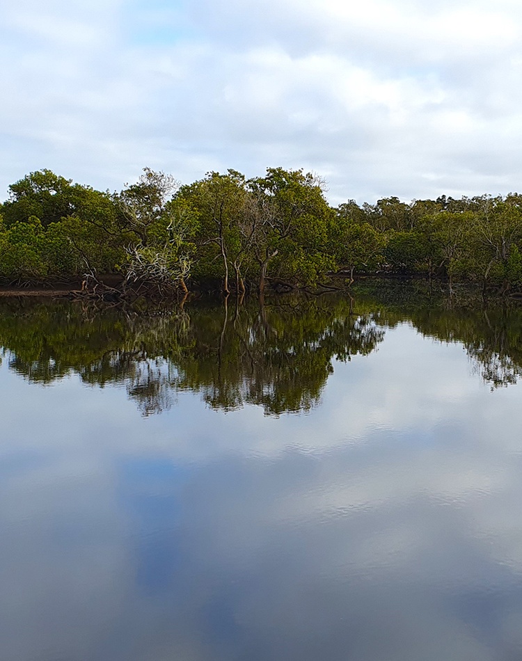 A river lined with trees with the sky reflected on the water surface
