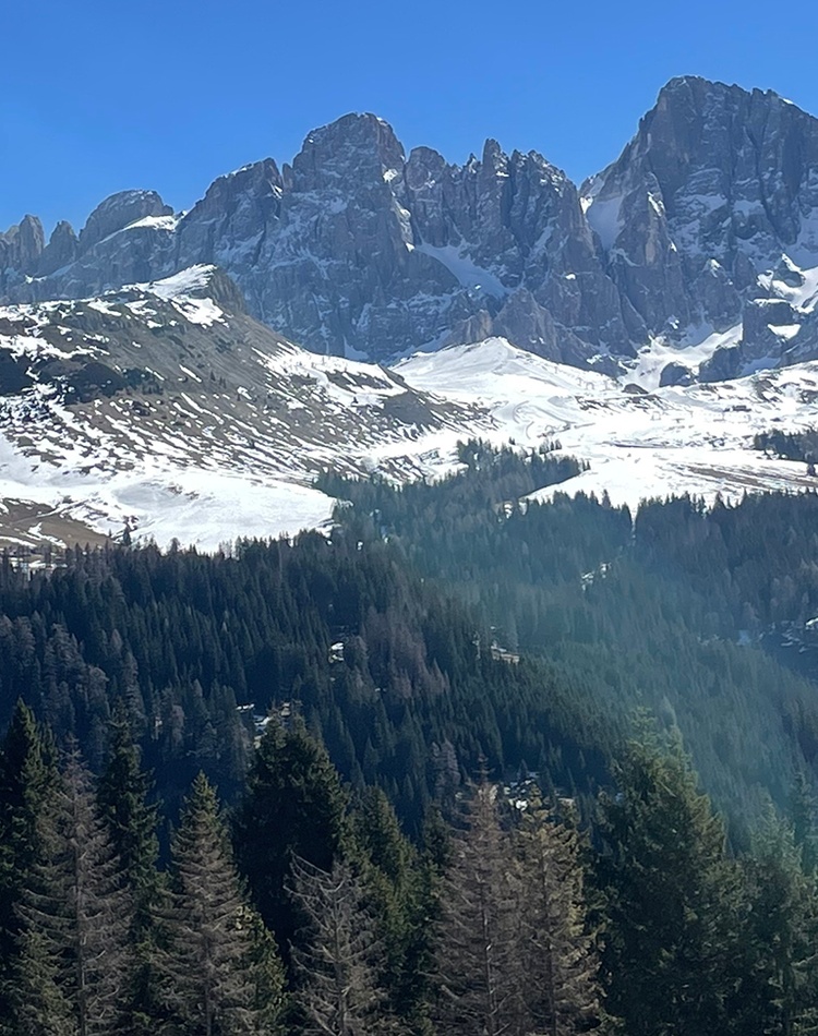 A mountain range, snow and trees against a blue sky