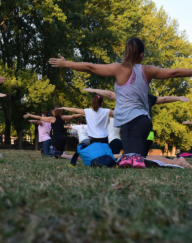 Women performing yoga on green grass near trees