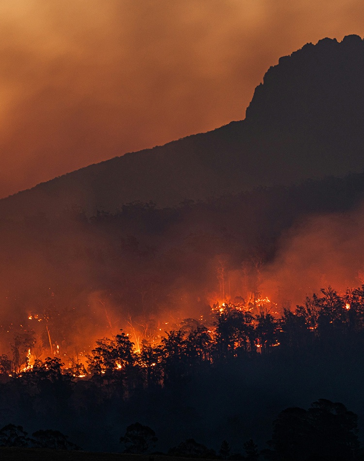 Bush fire