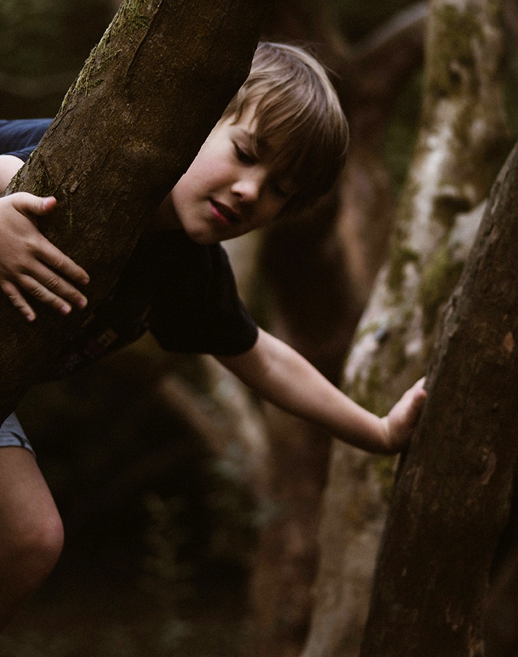 Boy and girl climbing up trees