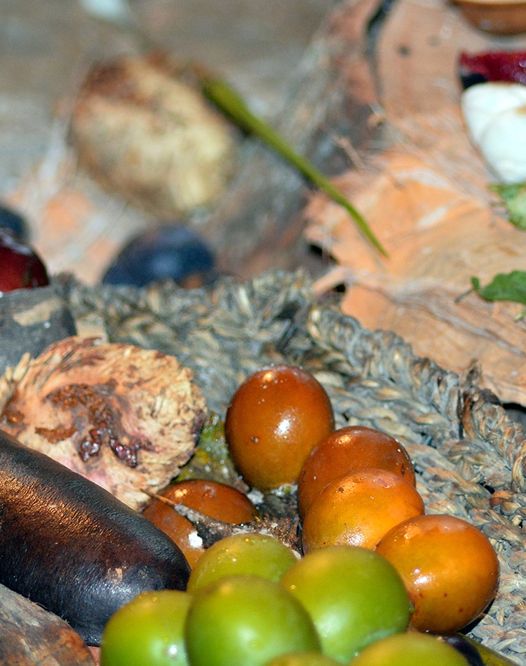 Aboriginal woman hand assorting fruit and seeds food