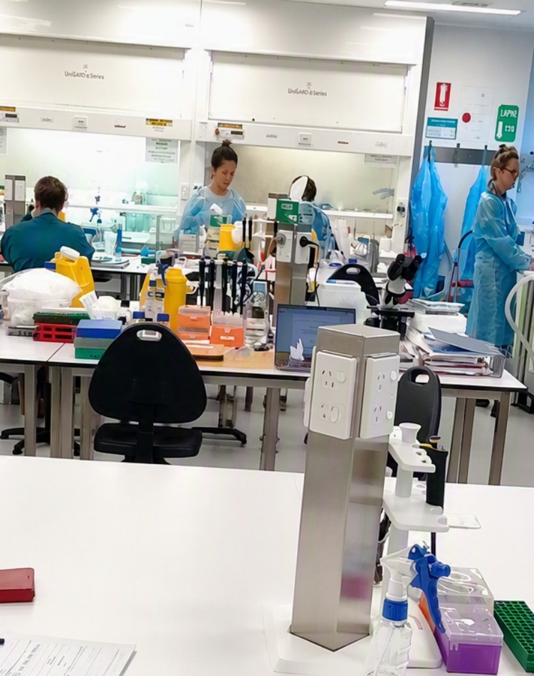 A group of students and supervisors in a lab smiling at the camera