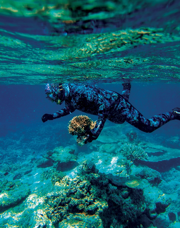 Peter Harrison with coral in Heron Island lagoon