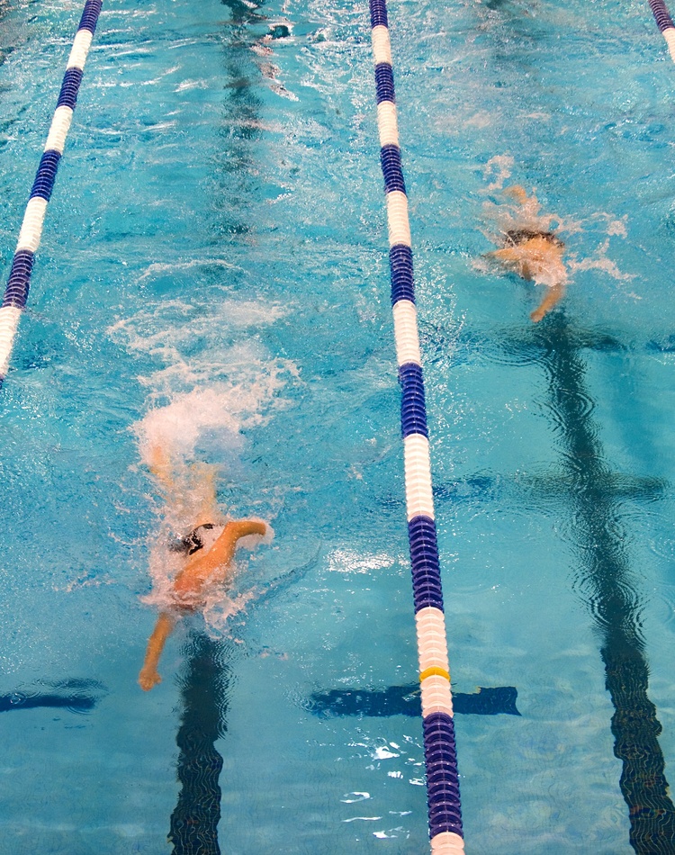 Olympic swimming pool with 4 swimmers in lanes