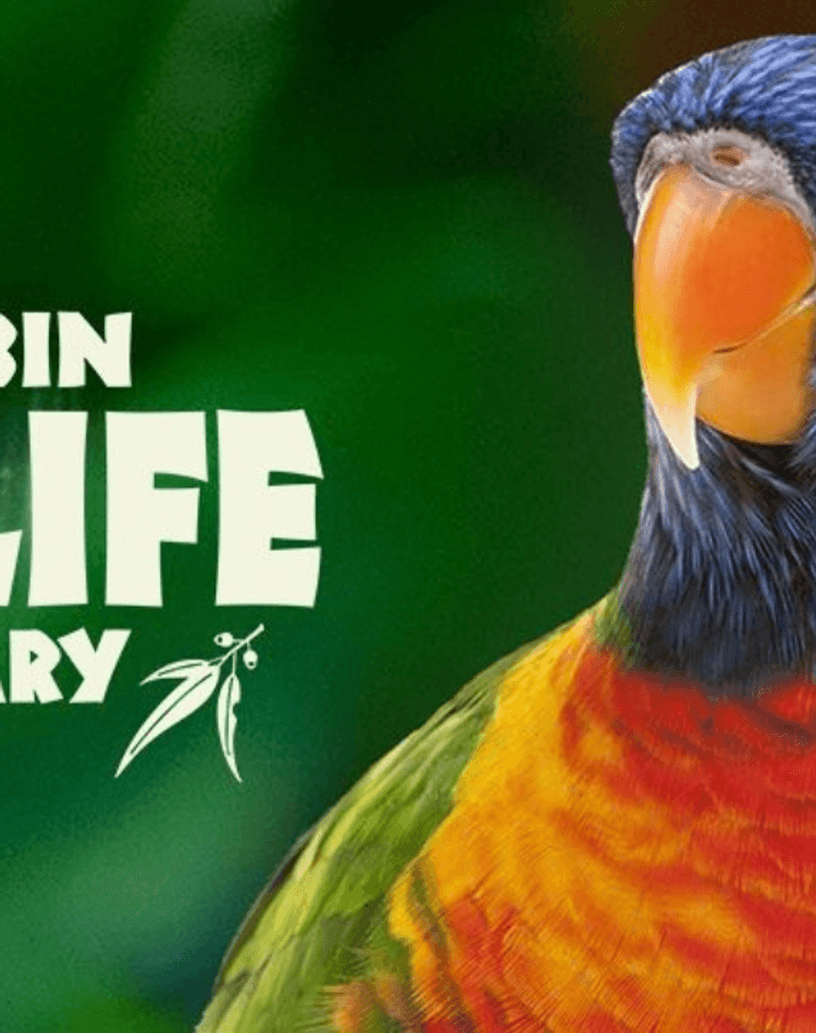 Currumbin wildlife sanctuary banner