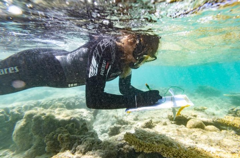 A diver  writing notes while inspecting degraded sections of coral reef