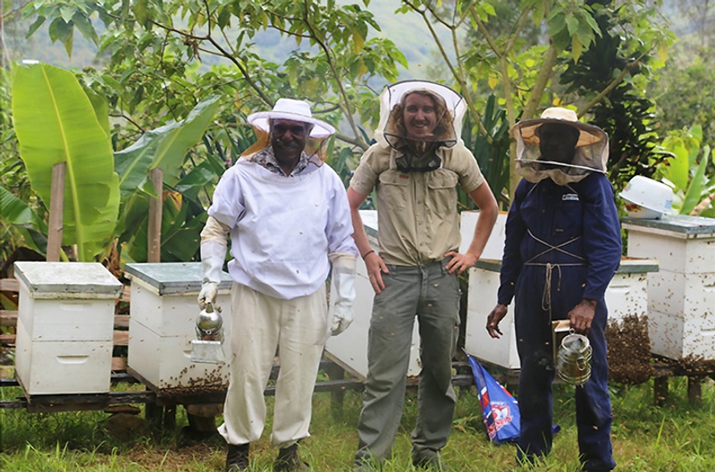 Harvesting honey in PNG Highlands are beekeeping guru Mr Wilson Tomato (L), Dr Cooper Schouten and Mr Paki Billy