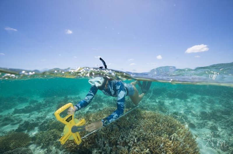 A snorkler with measuring instruments swims over a flat coral reef
