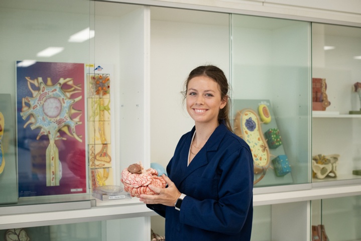 Student in blue lab coat holding a model brain